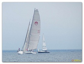 Regata_07.2017 (8)